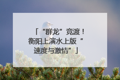 “群龙”竞渡！衡阳上演水上版“速度与激情”